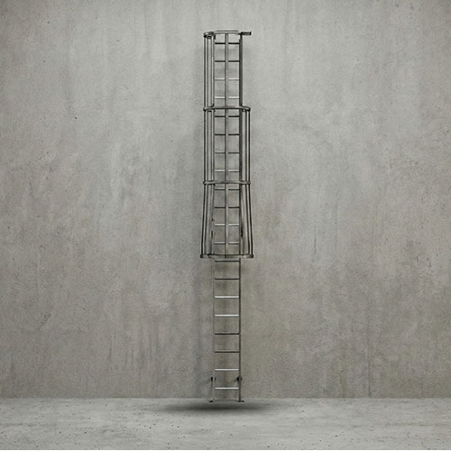 Ladder& Cage - 10FT Sections