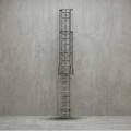 Ladder& Cage - 10FT Sections